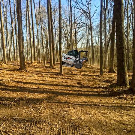 FOREST MULCHING